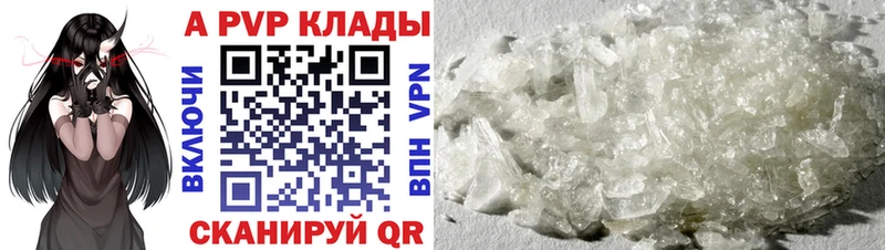 A PVP СК  Новокузнецк 