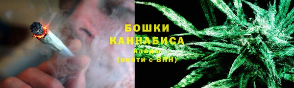 индика Кукмор