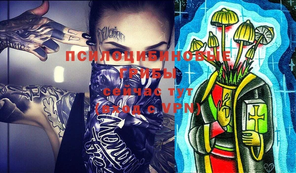 гашик Абаза