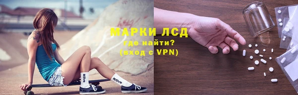 индика Абинск