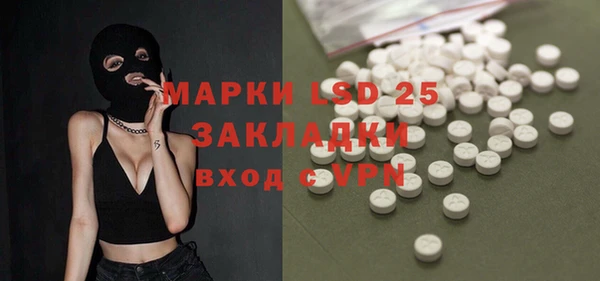 индика Абинск