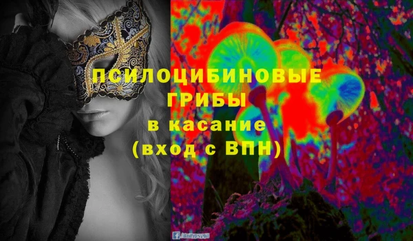 гашик Абаза