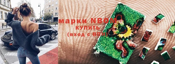 индика Абинск