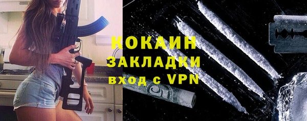 индика Абинск