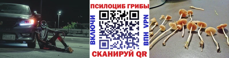 закладка  Новокузнецк  Псилоцибиновые грибы ЛСД 
