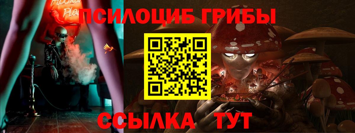 Галлюциногенные грибы Psilocybine cubensis  Галлюциногенные грибы мицелий  Новокузнецк  Вход с VPN 
