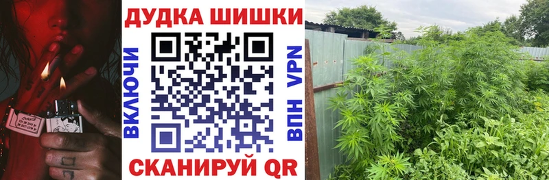 Каннабис MAZAR  Новокузнецк 